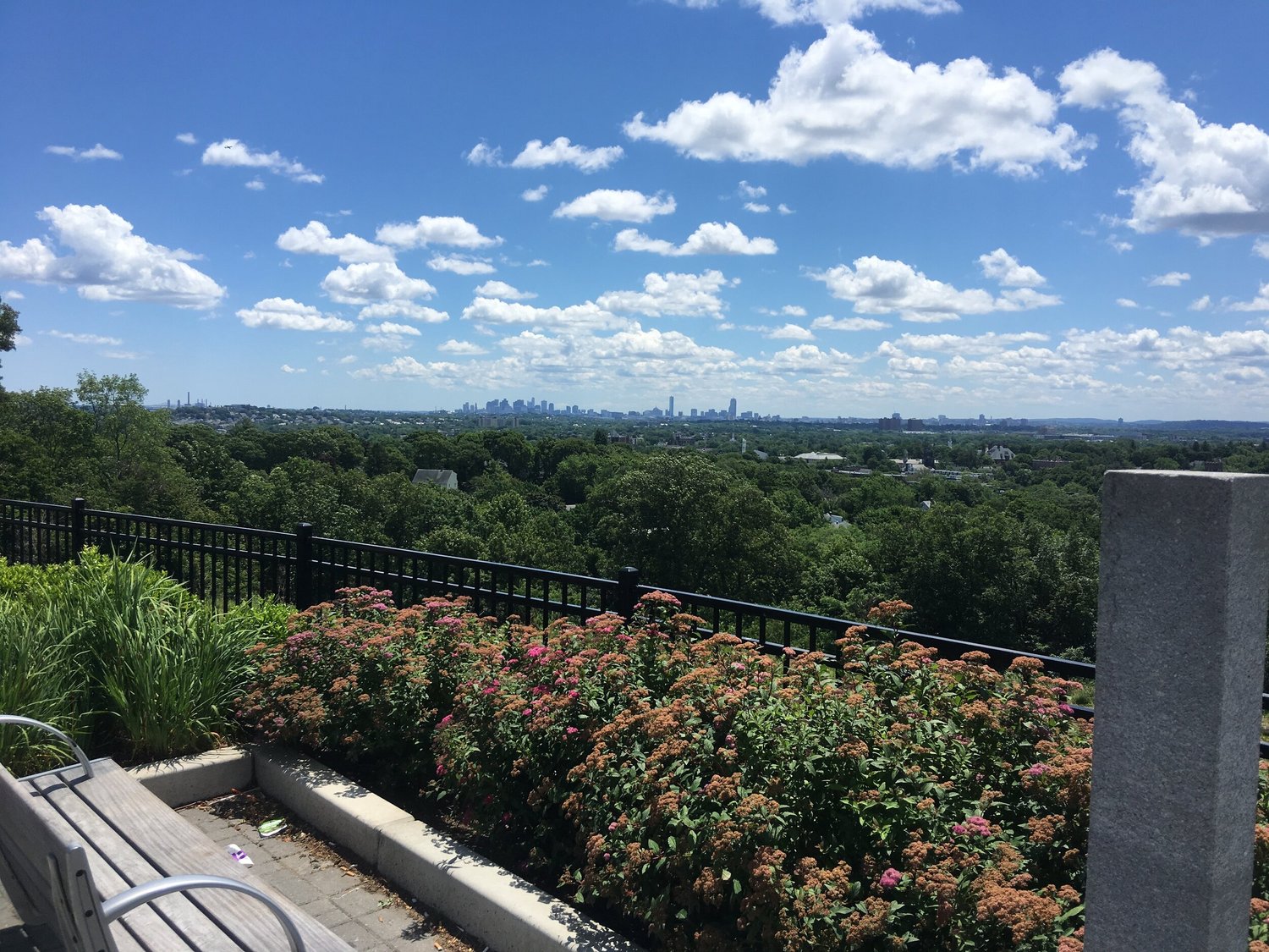 View of the Boston skyline from a garden lookout in Arlington