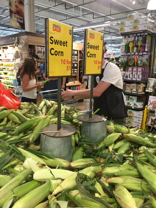 Bins of sweet corn on sale at a supermarket