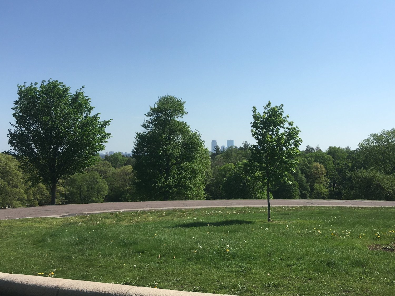 View of Boston from Larz Anderson Estate