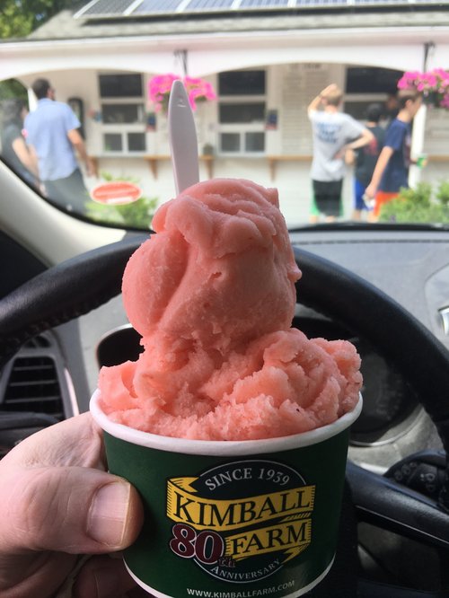 Cup of sorbet from Kimball Farm held in the car
