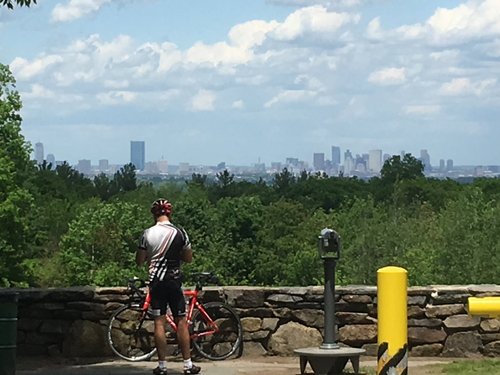 Cyclist looking at the Boston skyline from a hilltop lookout