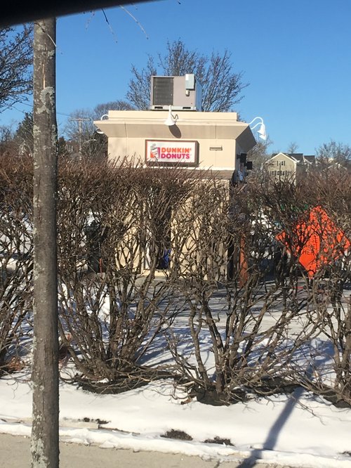 Small Dunkin' Donuts building behind bare winter bushes