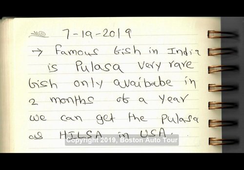 Journal note about pulasa, a rare fish from India, July 19, 2019