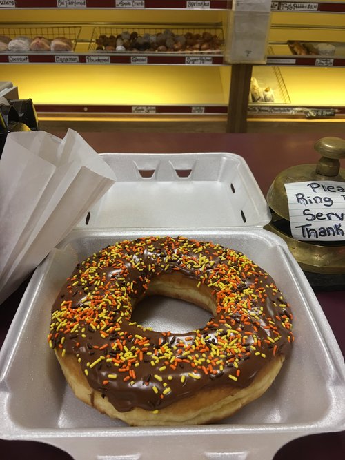 Large chocolate-frosted donut with sprinkles in a takeout box