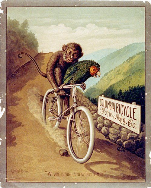 Columbia Bicycle poster of a monkey and a parrot riding downhill