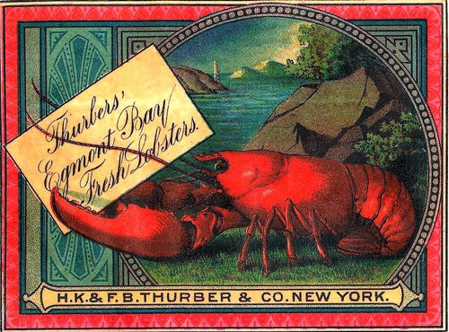 H.K. & F.B. Thurber & Co. trade card for Egmont Bay fresh lobsters