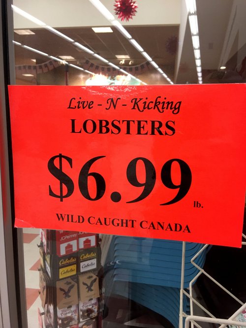 Sign in a window: live lobsters, $6.99 a pound