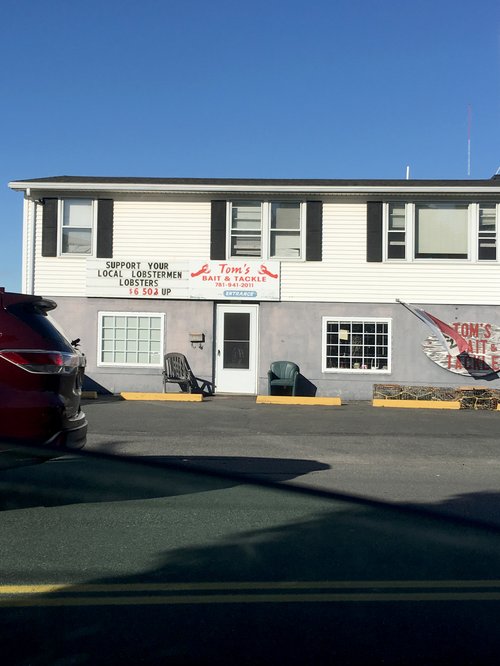 Tom's Bait & Tackle building with a "Support your local lobstermen" sign