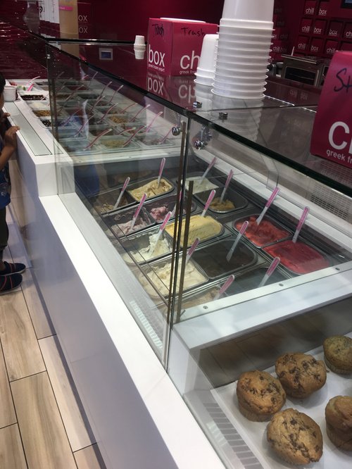 Gelato and frozen yogurt display case with cookies